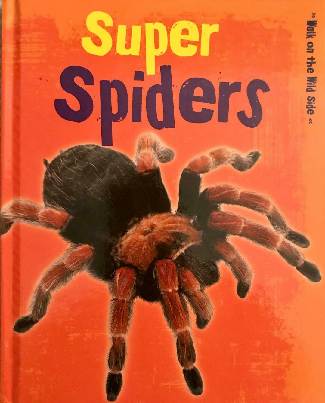 Walk On The Wild Side - Super Spiders