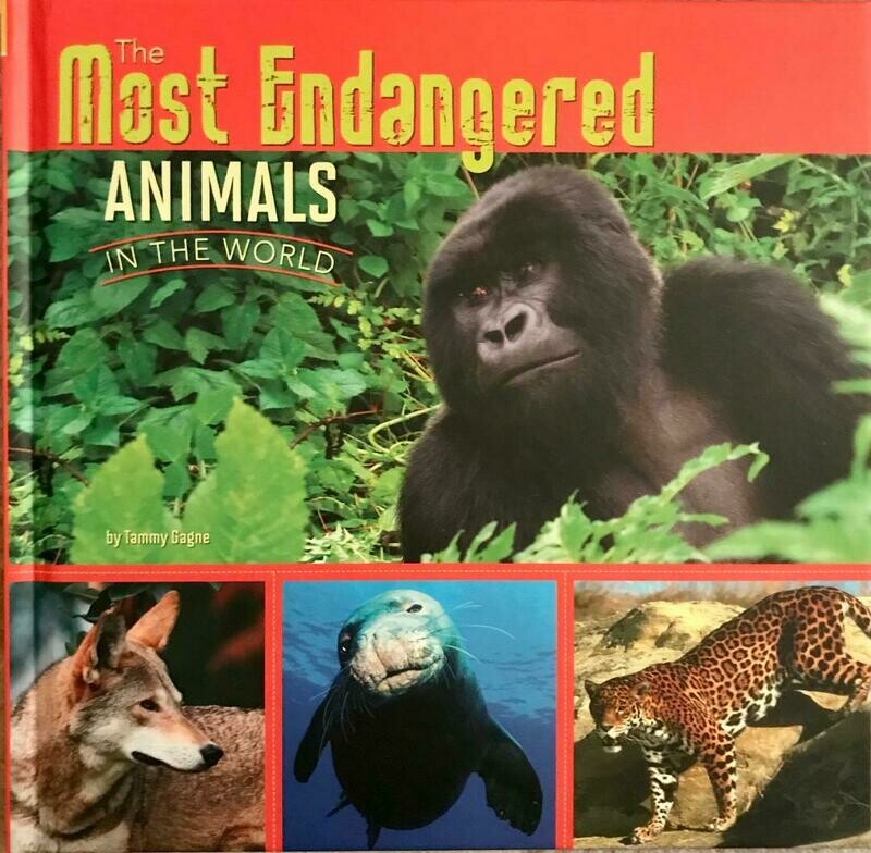The Most Endangered Animals In The World