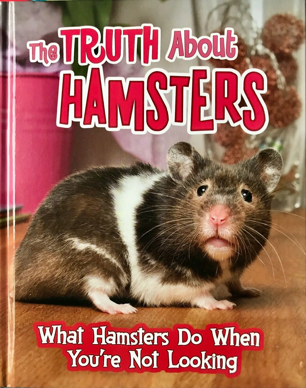About hamsters sale