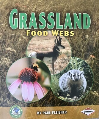 Early Bird: Grassland Food Webs
