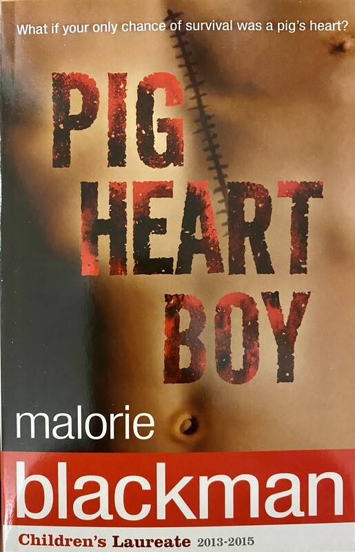 Pig Heart Boy