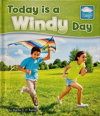Today Is a Windy Day - What Is the Weather Today?