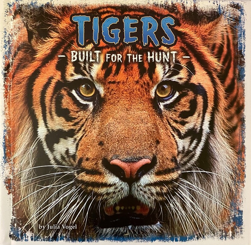 Tigers: Built for the Hunt