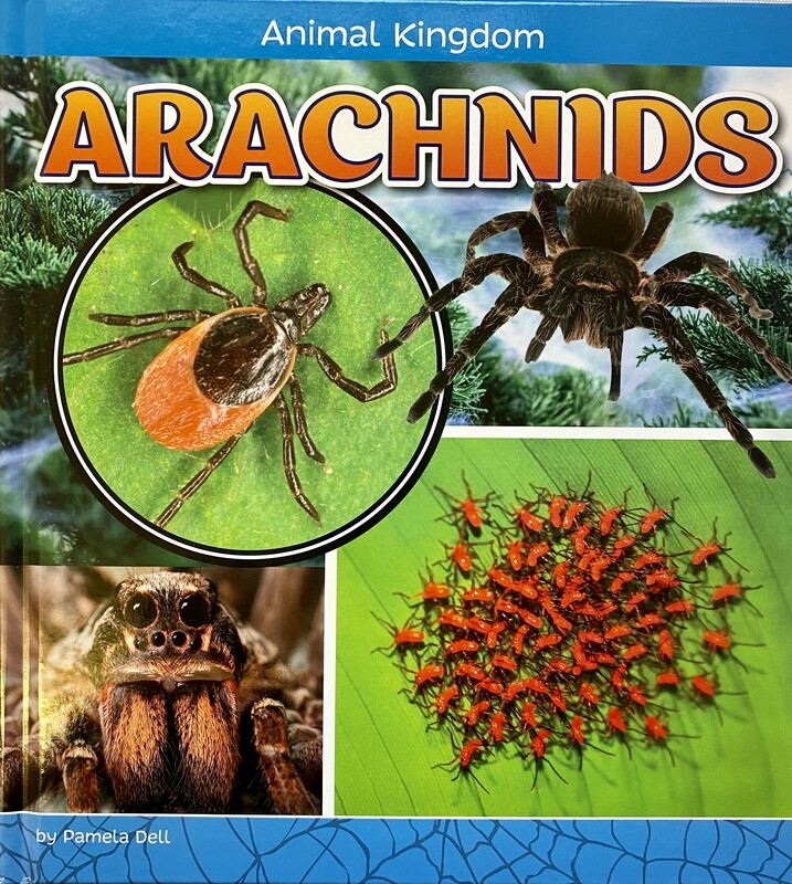 Animal Kingdom: Arachnids