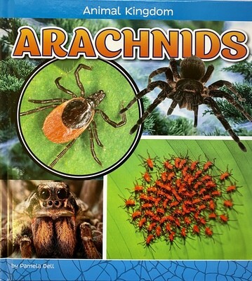 Animal Kingdom: Arachnids