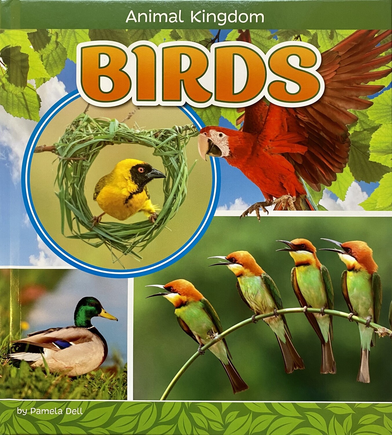 Animal Kingdom: Birds