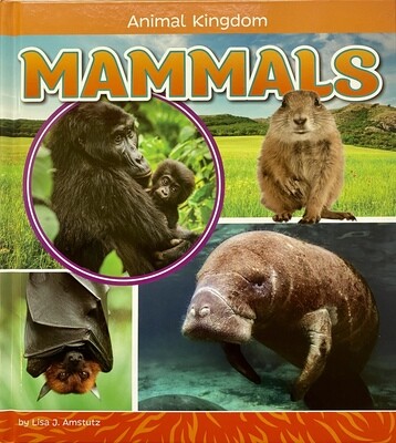 Animal Kingdom: Mammals
