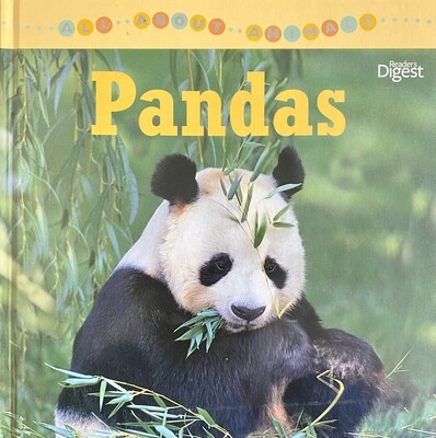 All About Animals - Pandas