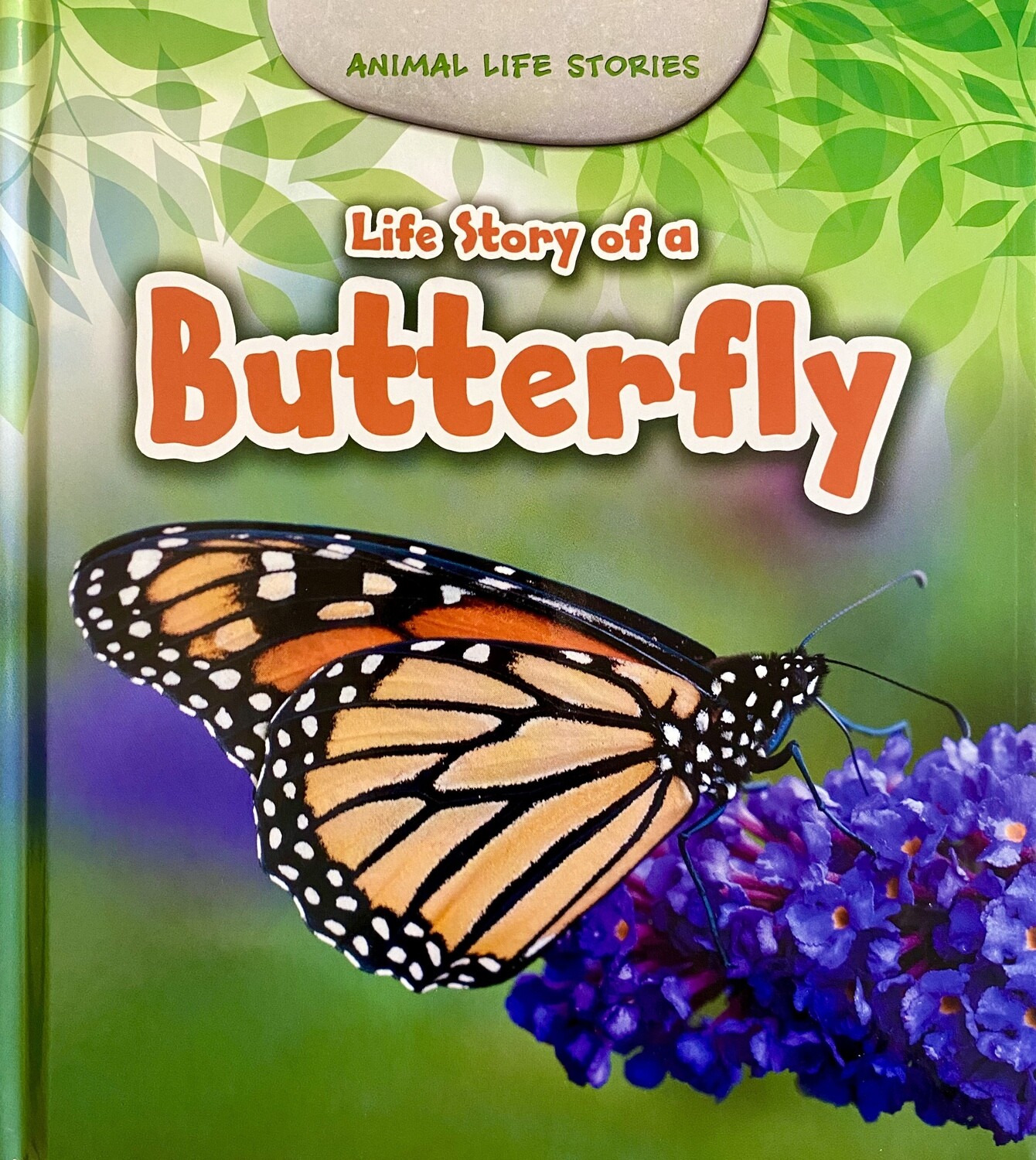 Animal Life Stories: Life Story of a Butterfly