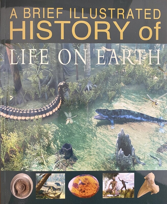 A Brief Illustrated History of Life on Earth