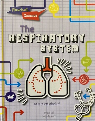 Flowchart Science: The Respiratory System