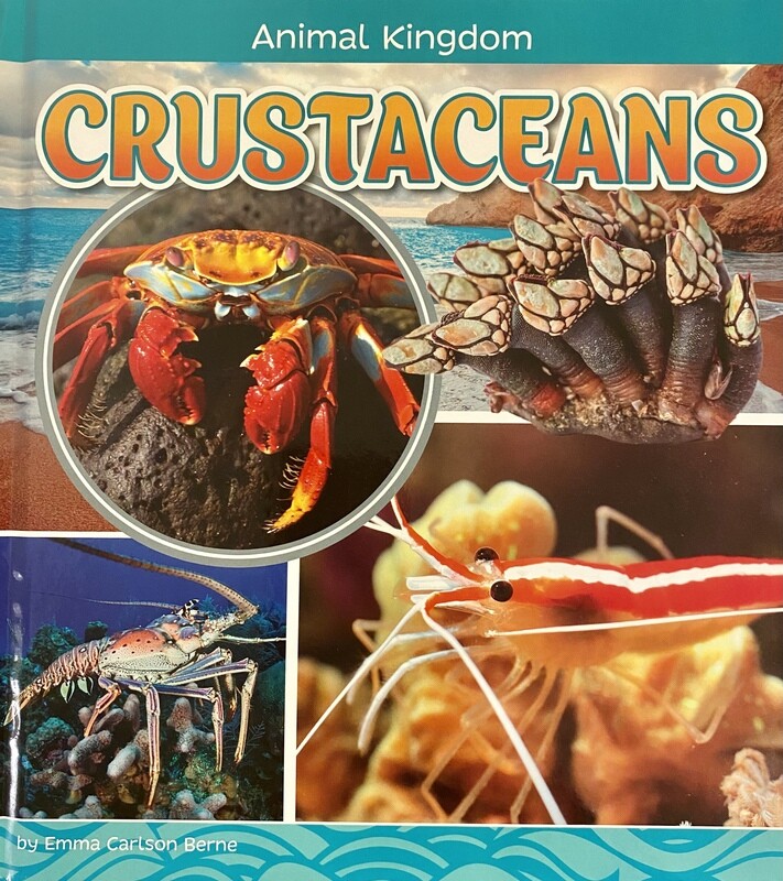 Animal Kingdom: Crustaceans
