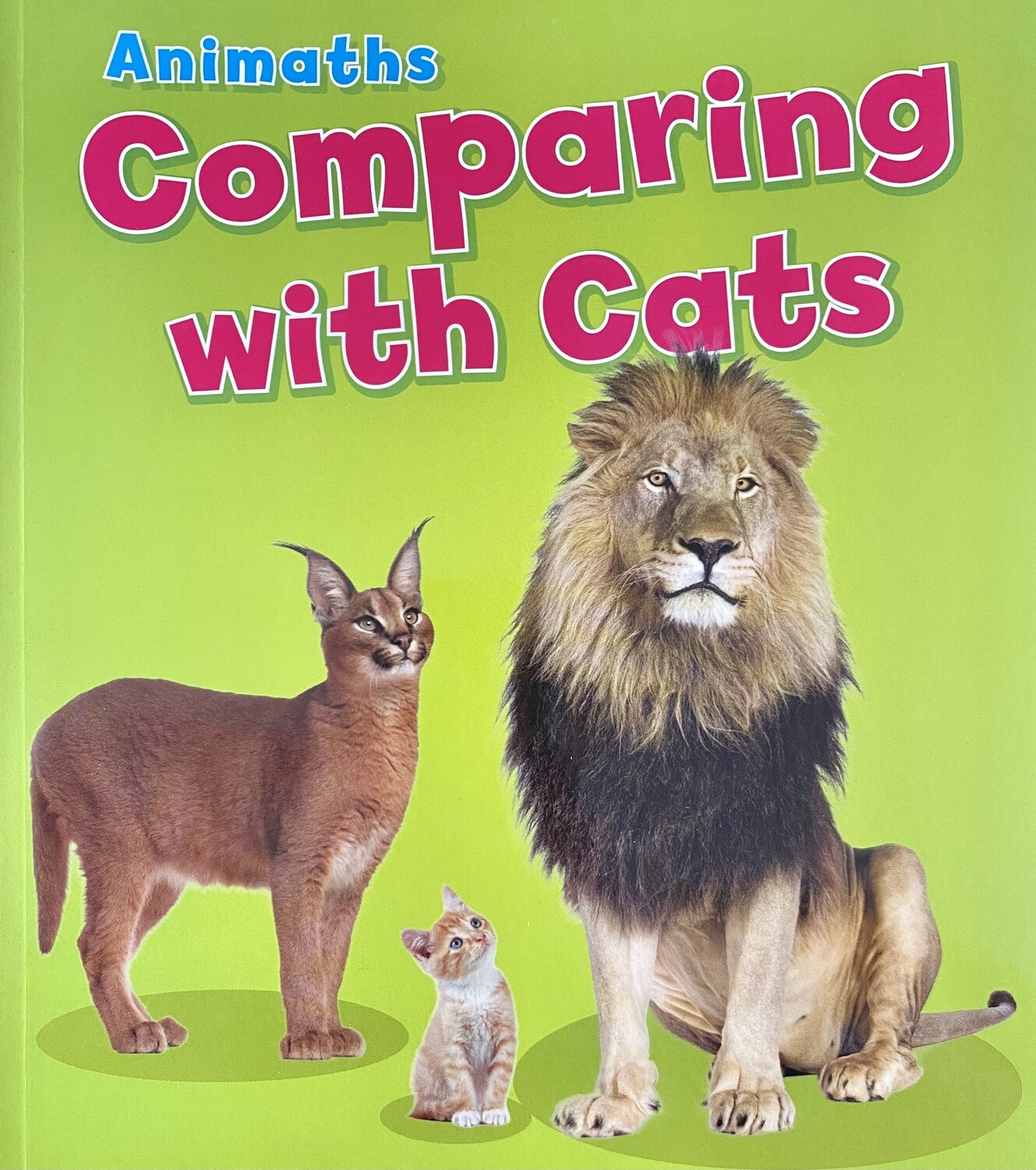 Animaths: Comparing with Cats