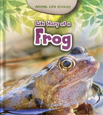 Animal Life Stories: Life Story of a Frog