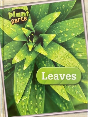 Plant Parts: Leaves