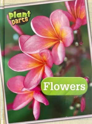 Plant Parts: Flowers