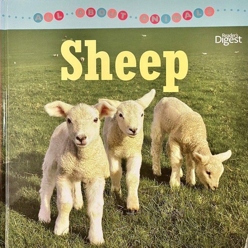 All About Animals - Sheep