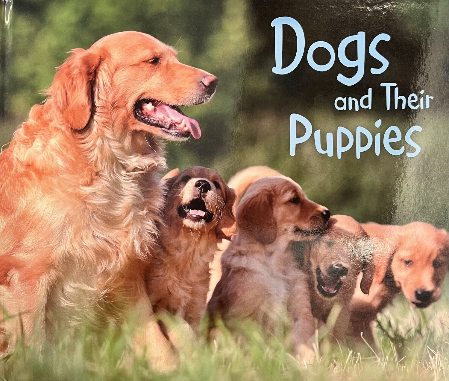 Dogs and Their Puppies