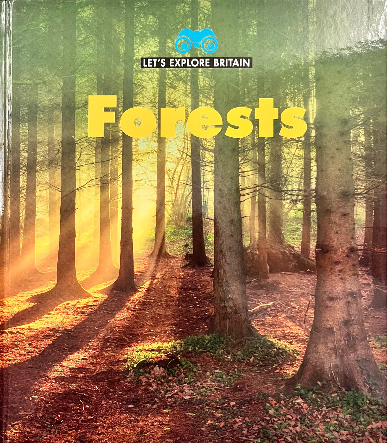 Let’s Explore Britain: Forests