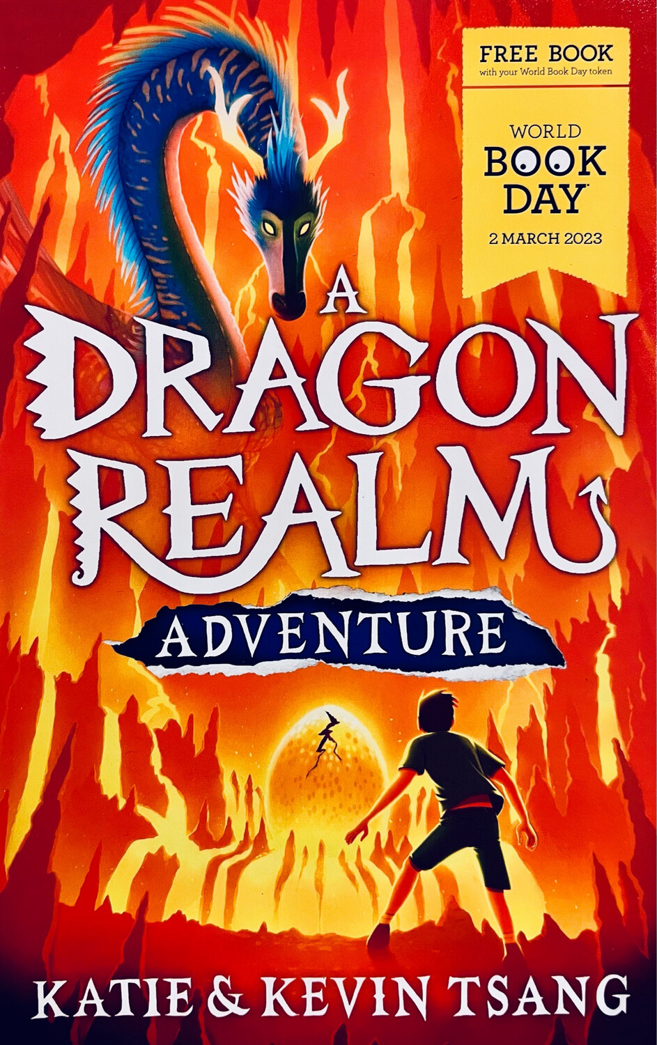 A Dragon Realm Adventure