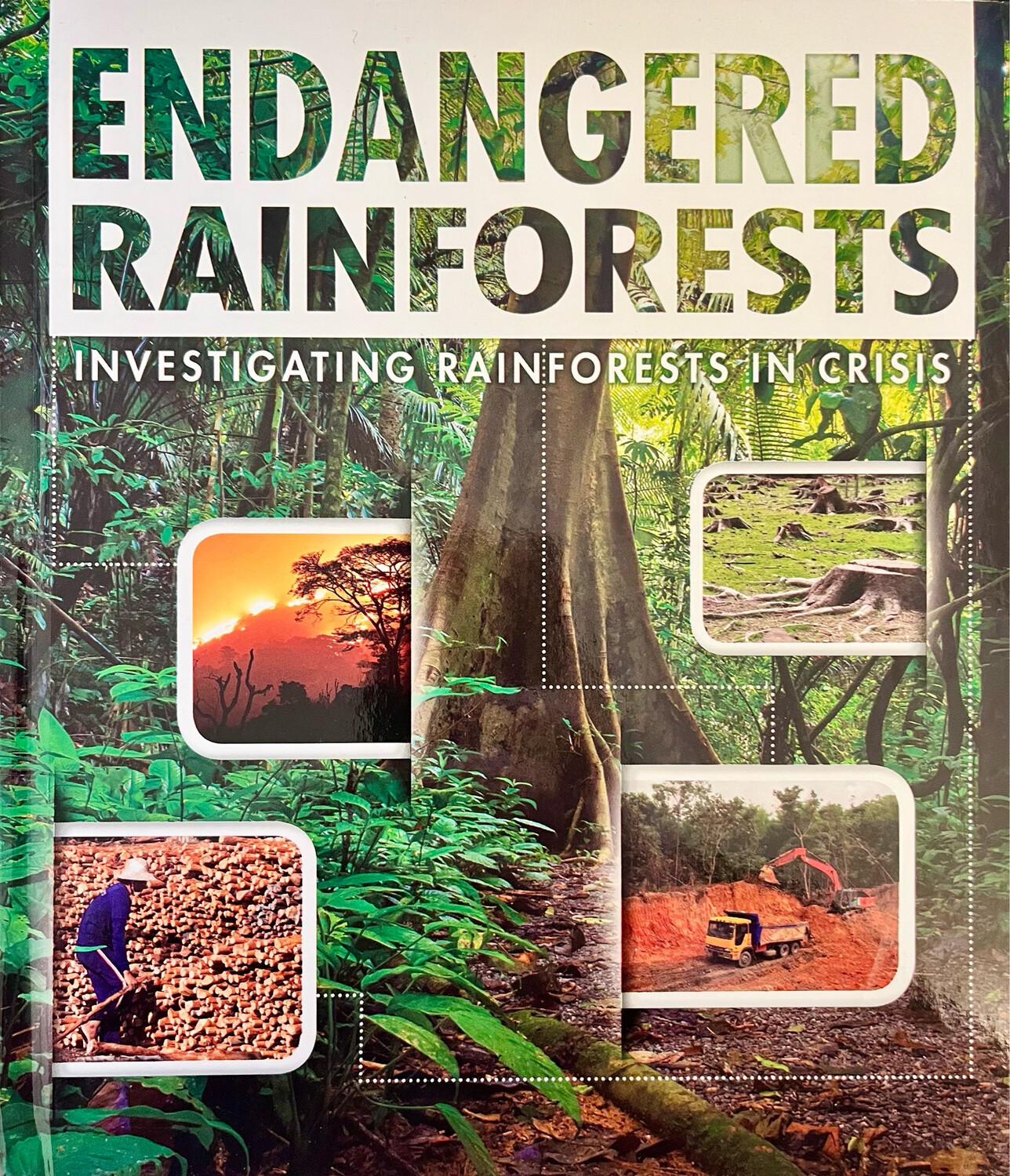 Endangered Rainforests: Investigating Rainforests In Crisis