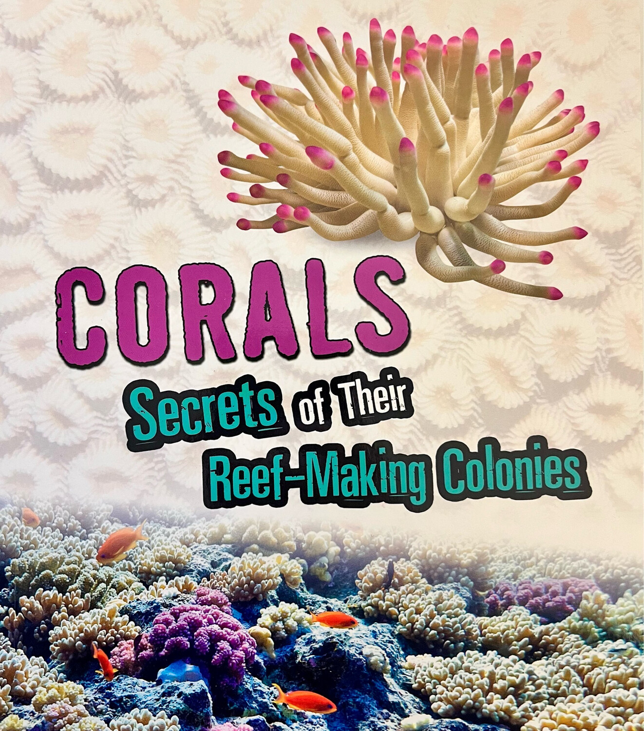 Corals - Secrets of their Reef-Making Colonies
