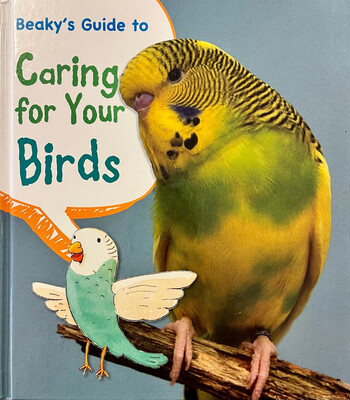 Beaky’s Guide To Caring For Your Birds
