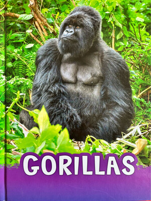 Animals: Gorillas