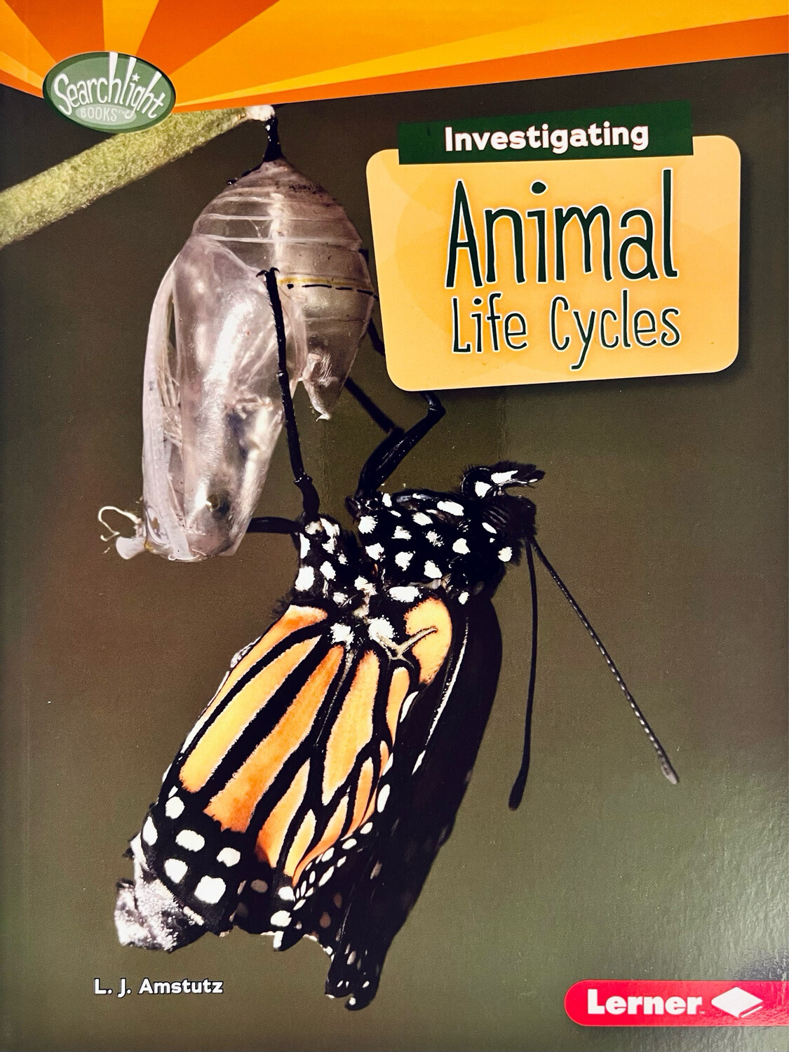 Investigating Animal Life Cycles