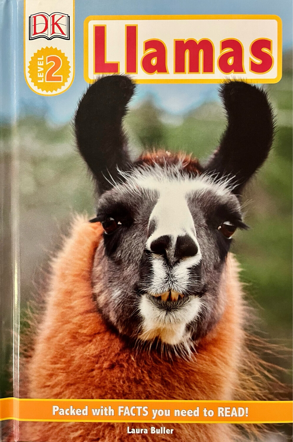DK Level 2: Llamas