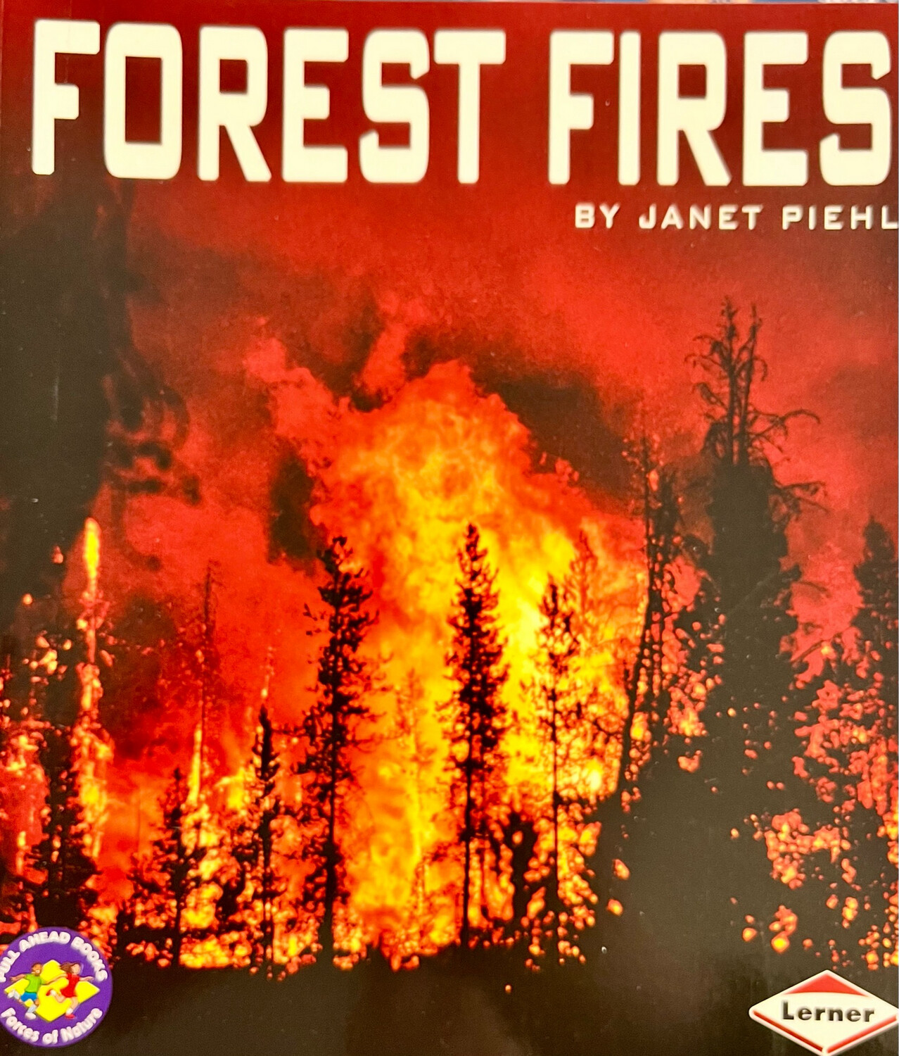 Forest Fires