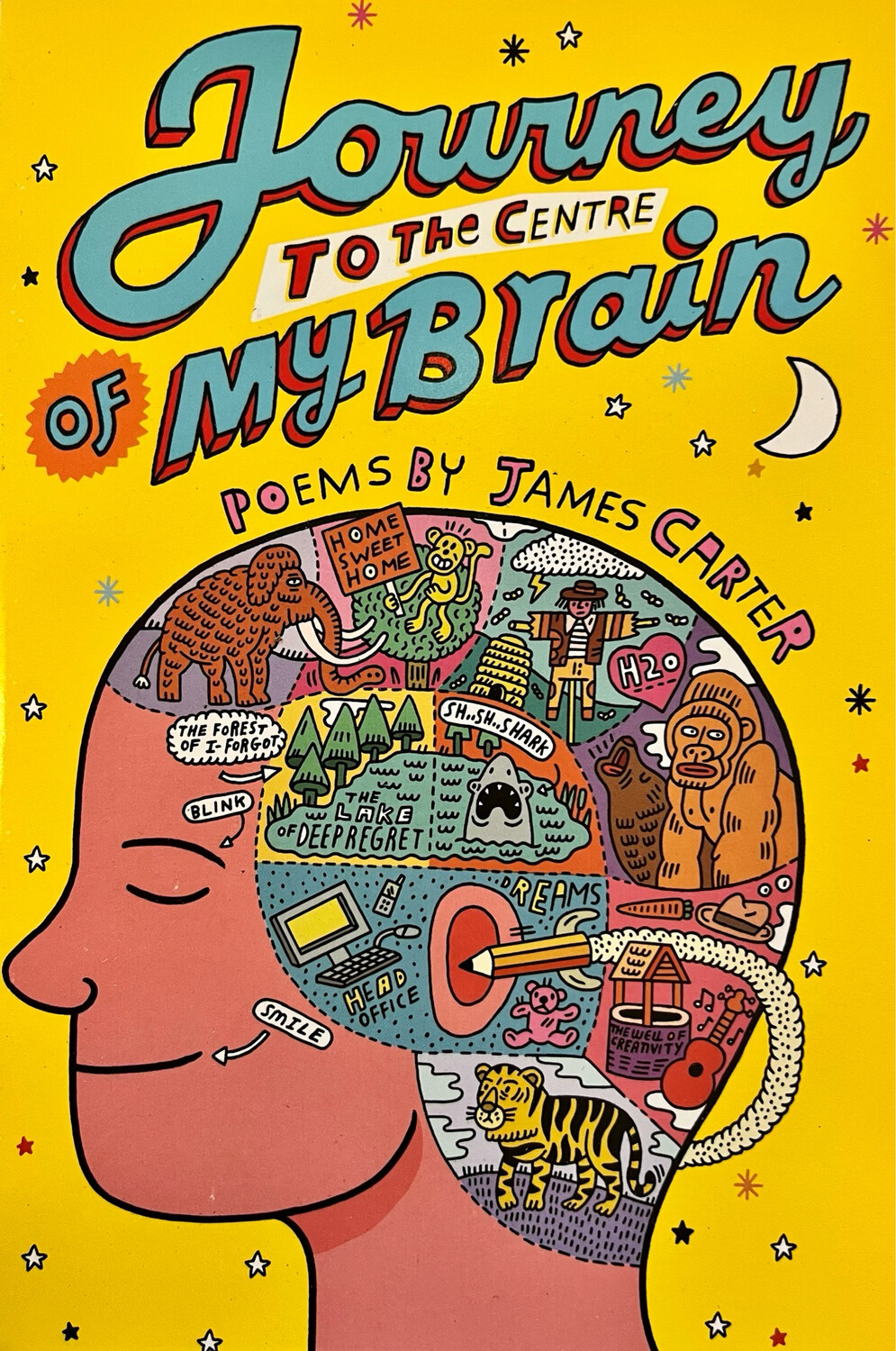Journey To The Centre Of My Brain - Poems