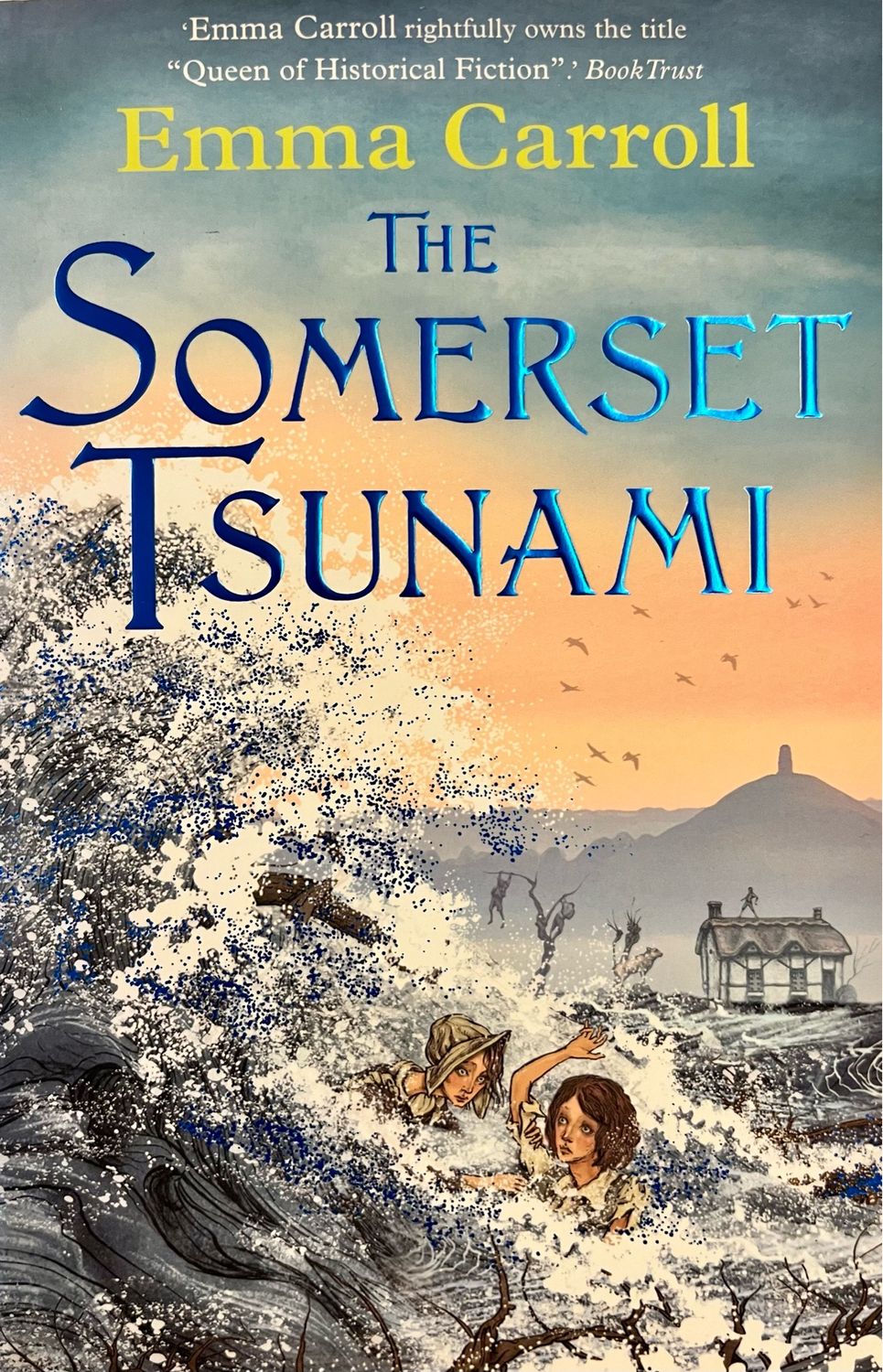 The Somerset Tsunami