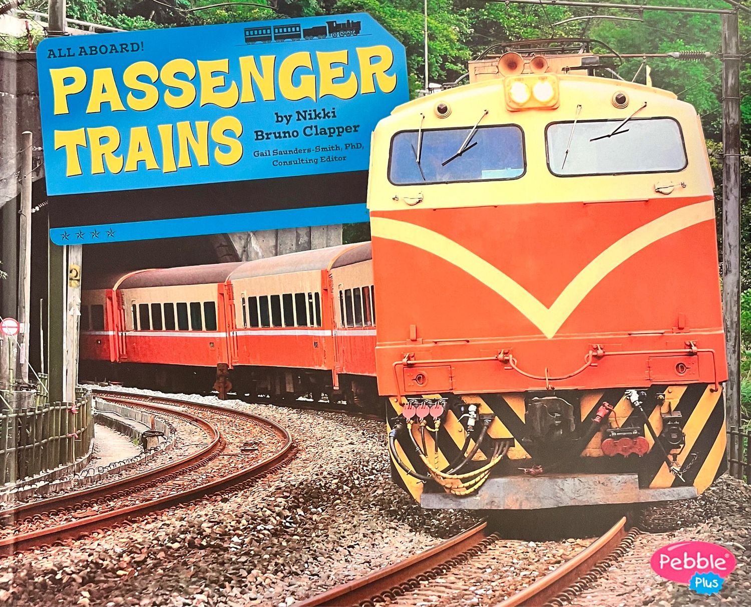 All Aboard! Passenger Trains
