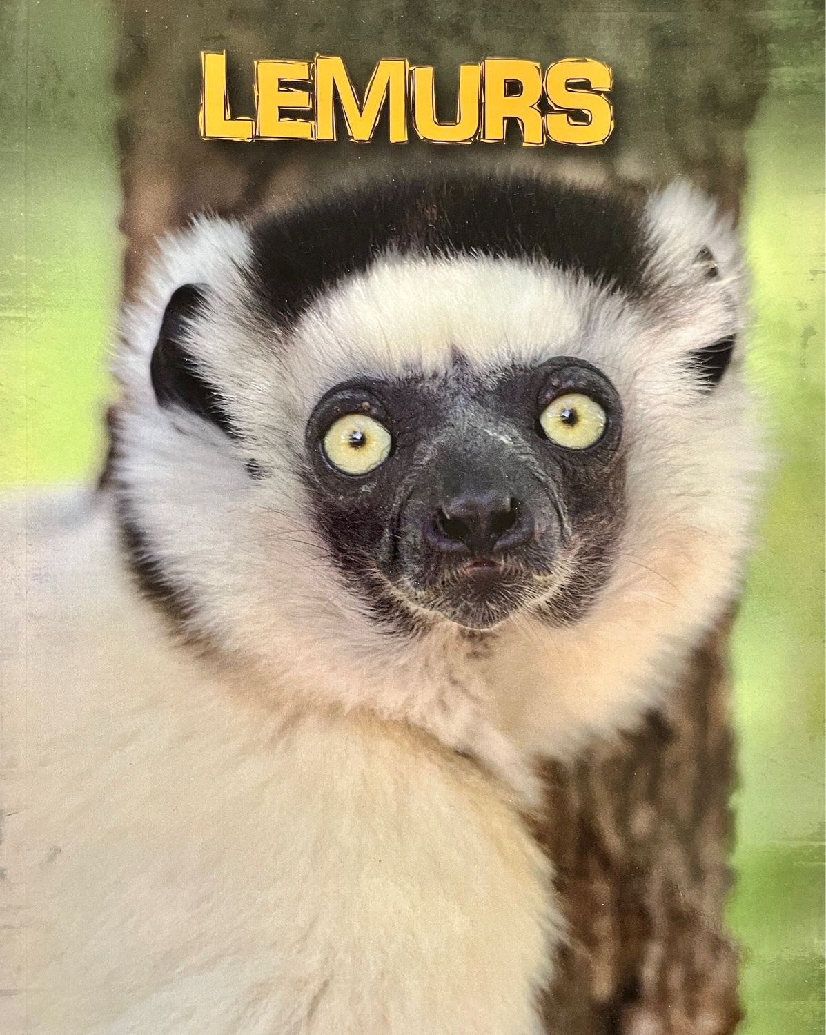 Lemurs