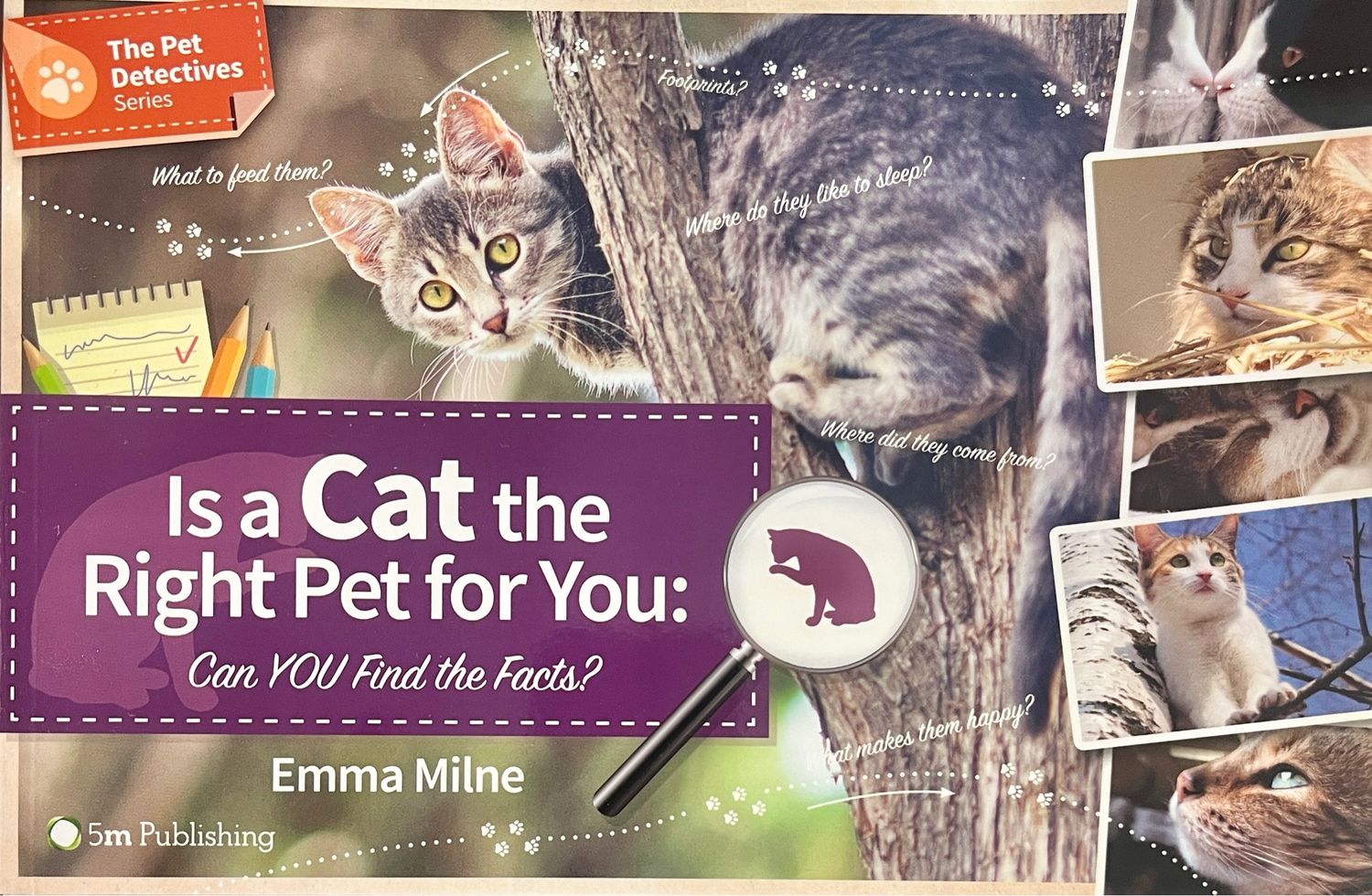 The Pet Detectives: Is A Cat The Right Pet For You?