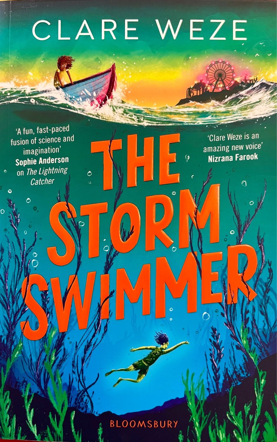 The Storm Swimmer