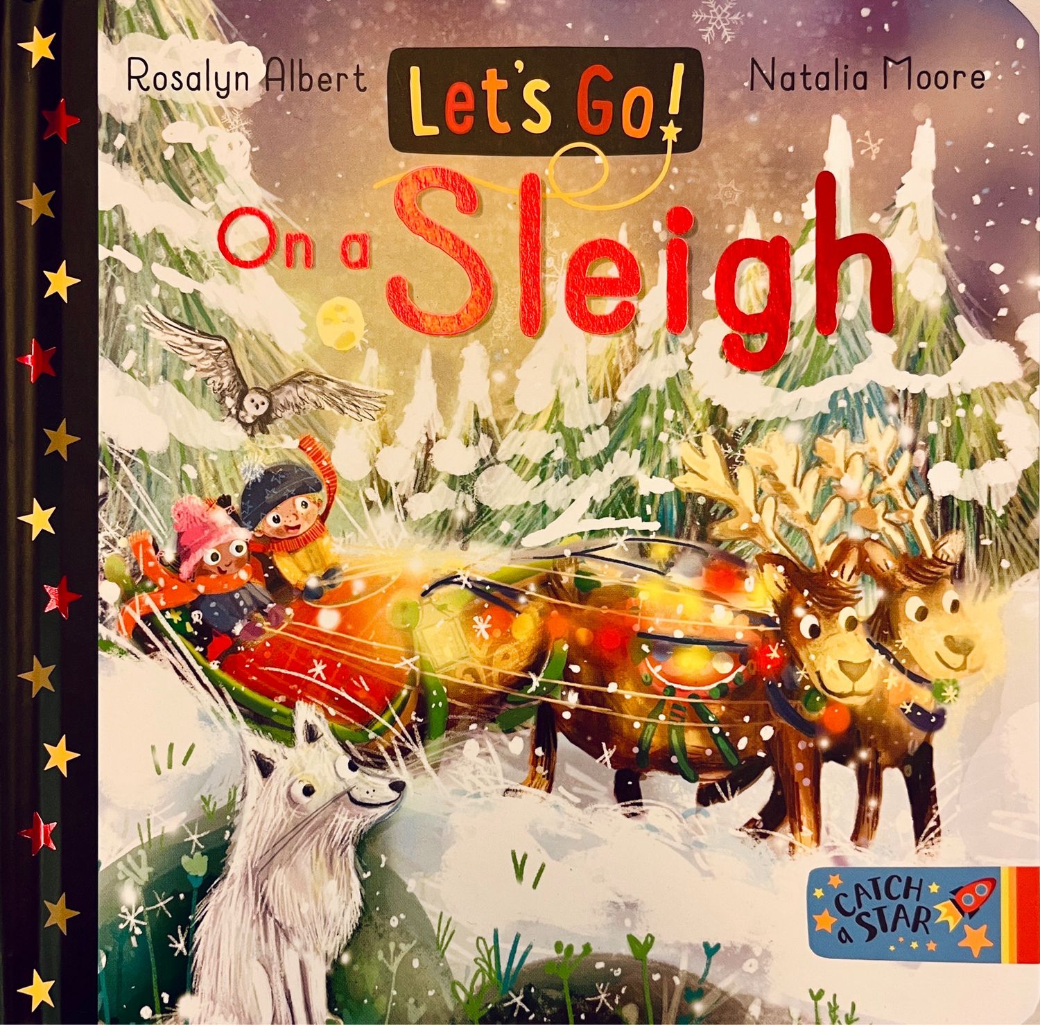 Let’s Go On A Sleigh