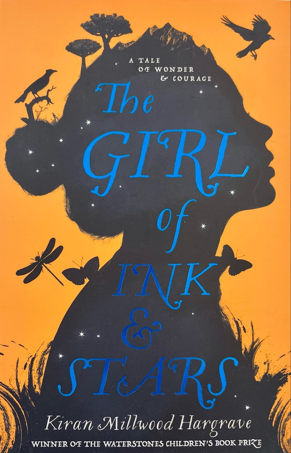 The Girl Of Ink And Stars