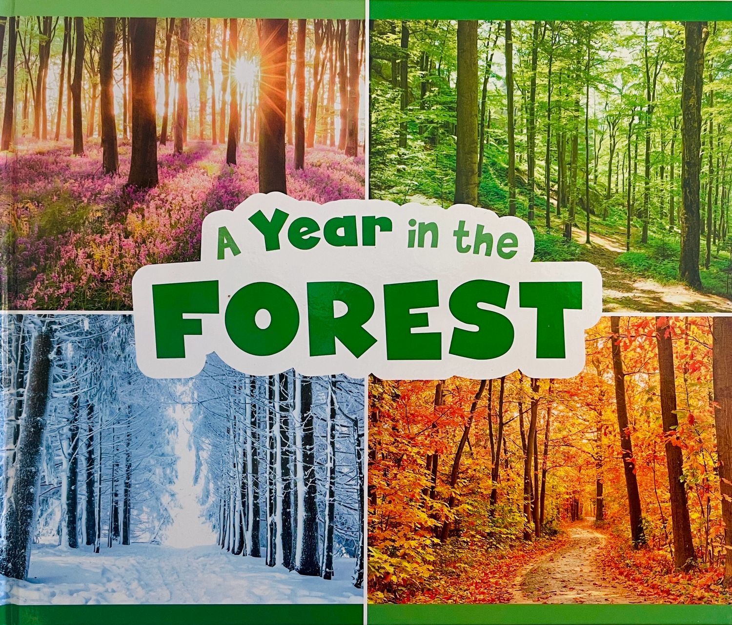 A Year In The Forest