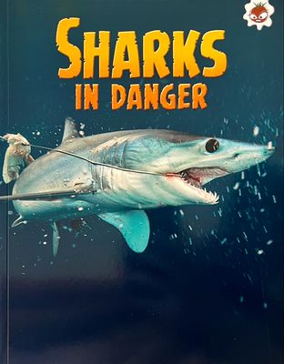 Sharks In Danger