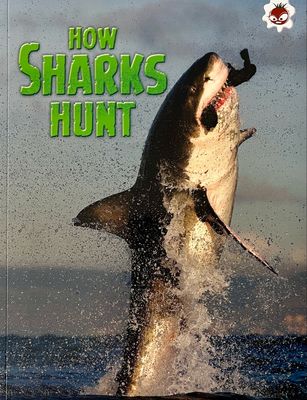 How Sharks Hunt