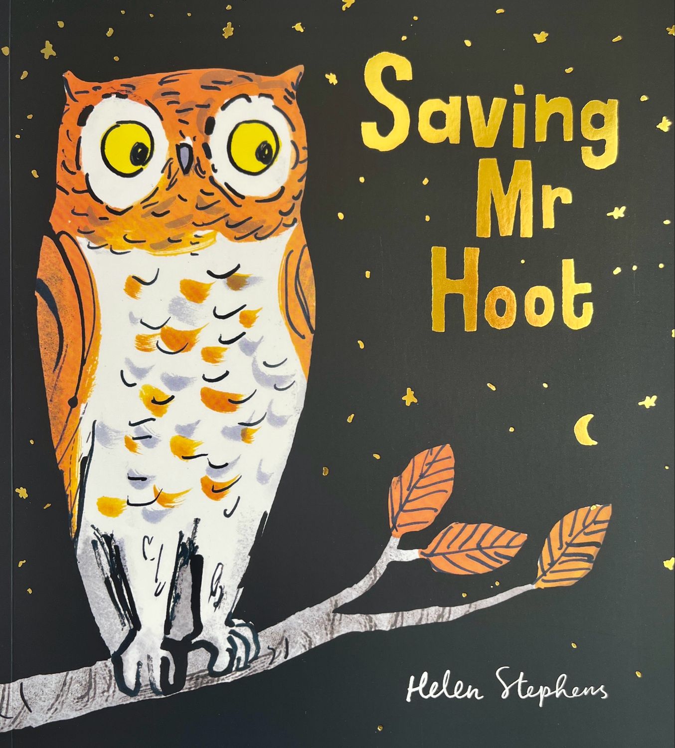 Saving Mr Hoot