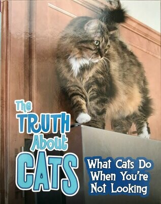 The Truth About Cats The Truth About Cats
