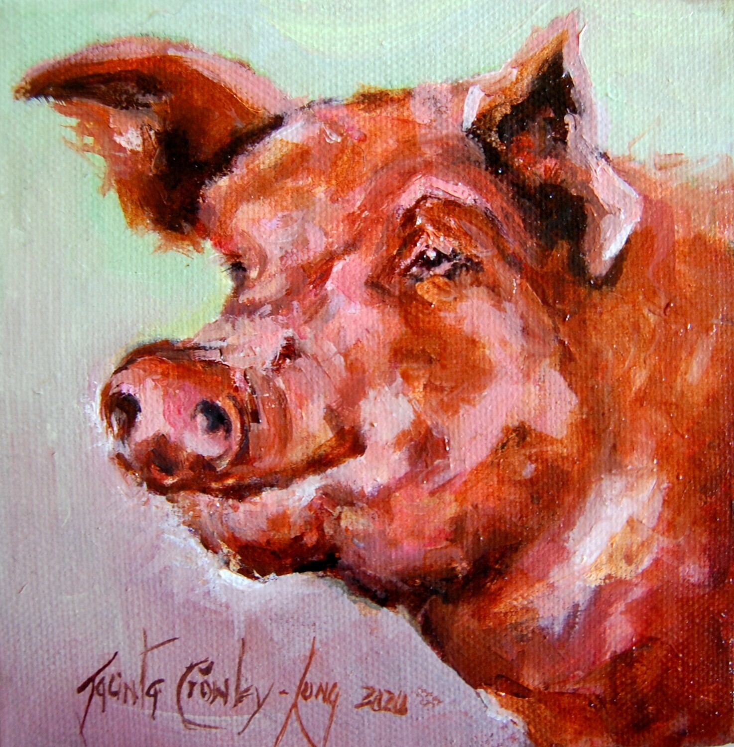 PIG-malion (6 x 6")