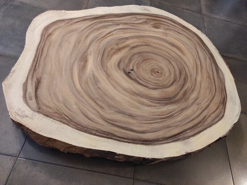 Tranche d'arbre diamètre 1m