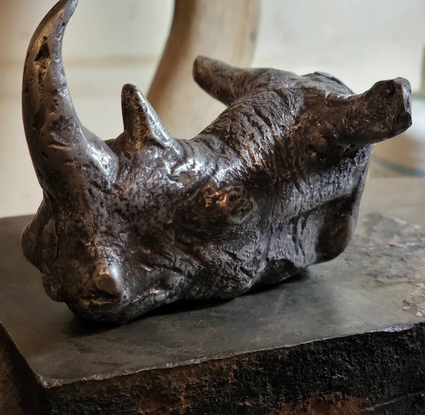 Rhino bust