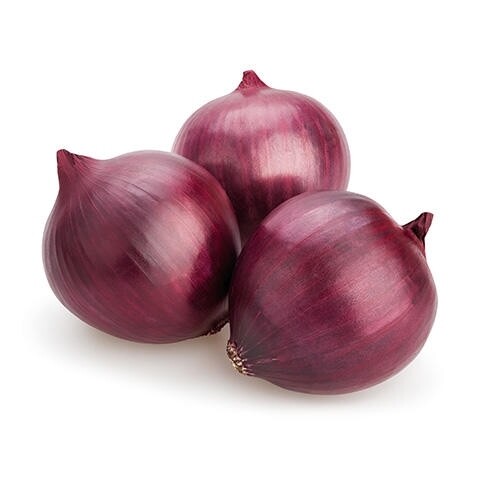 ONION RED LB