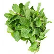 MINT LEAVES BUNCH PC