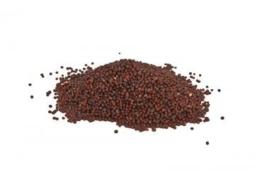 SWAGAT ANDHRA MUSTARD SEEDS 400gm